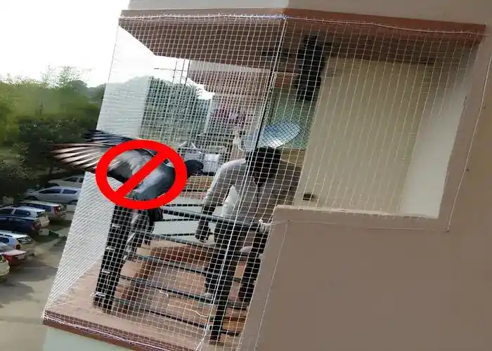 Falcon Nets - Net for Pigeons and Pigeon Safety Nets in Kharadi, Wagholi, Viman Nagar, Wakad, Hinjewadi, Pimpri-Chinchwad, Koregaon Park, Hadapsar, Baner, Shivaji Nagar, Aundh, Kothrud, Pune, Nashik, Mumbai