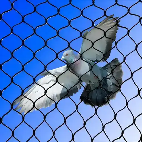 Falcon Nets Offers Pigeon Netting Services in Viman Nagar, Nanded City and Throughout Pune